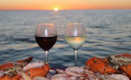 Croc and Crab Cruise Sunset - Karumba