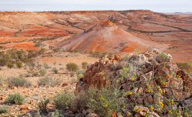 View from Deons Lookout Birdsville