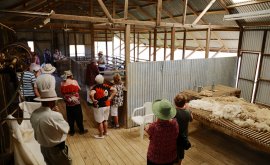 Inside the historic Shearing Shed